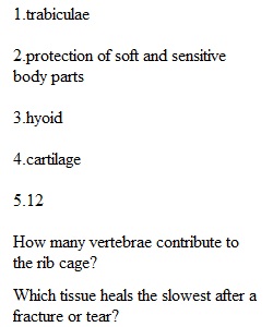 Exam 4